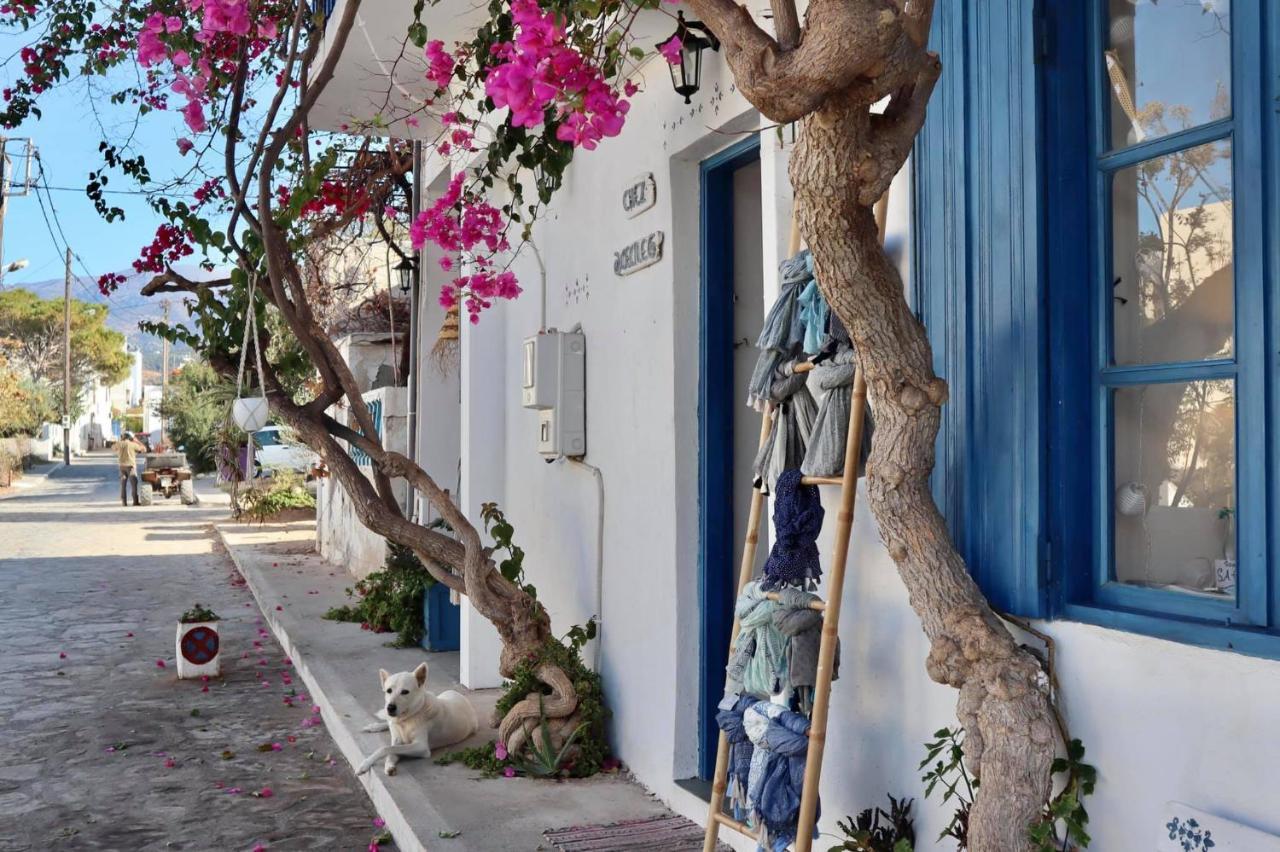Valley View House Ανώπολη Εξωτερικό φωτογραφία