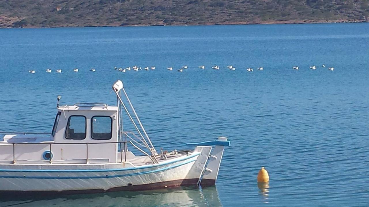 Valley View House Ανώπολη Εξωτερικό φωτογραφία